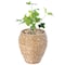 Vintiquewise Woven Round Flower Pot Planter Basket with Leak-Proof Plastic Lining- Small QI003832.S - alternate 1